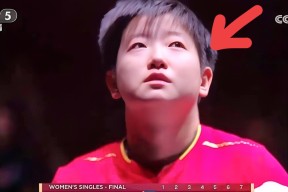 开云平台-Scout迎来二十赛季出色发挥，老鹰观众热烈欢呼！赛场气氛高涨(scout职业生涯)